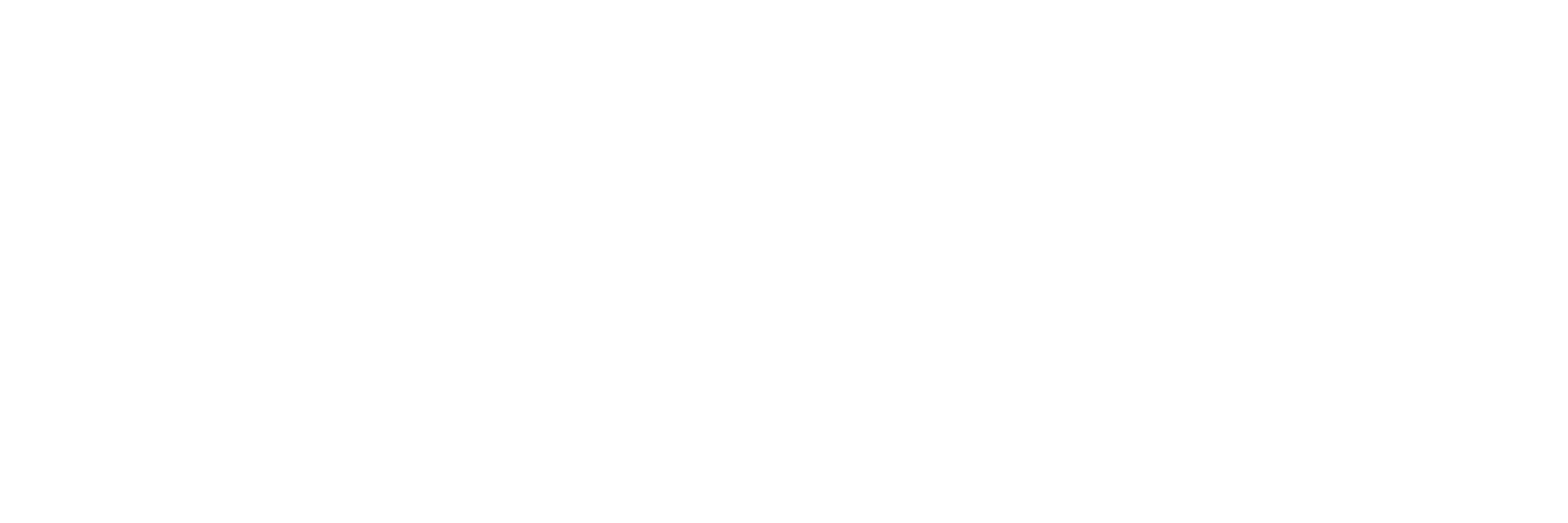 Web Development agency